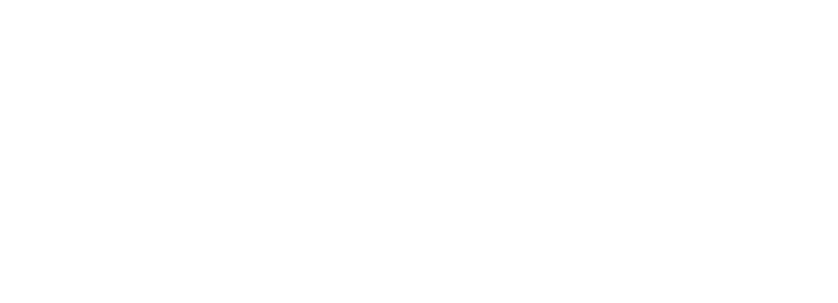 Fahrzeugteile Löwe – Qualität, die bewegt.